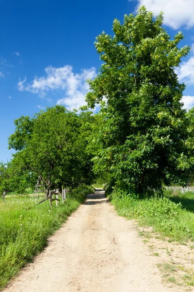 Camino de tierra rural — Foto de Stock