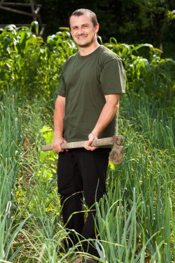 Gardener in an onion field, weeding clipart