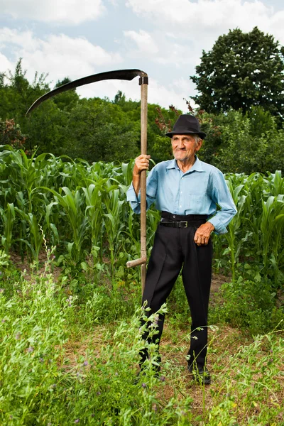 Senior farmář s kosou — Stock fotografie
