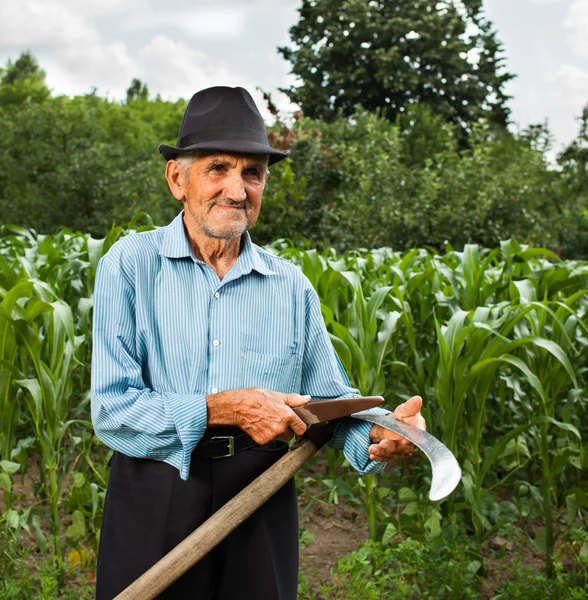 Senior bonde slipning hans lie — Stockfoto