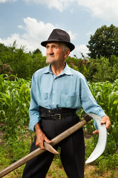 Starší zemědělce broušení kosy — Stock fotografie