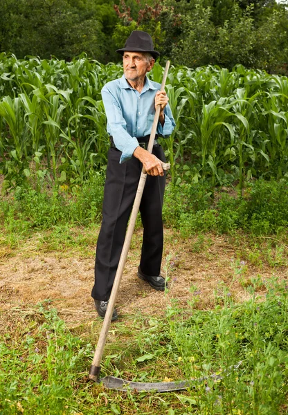 Agricultor senior con guadaña — Foto de Stock
