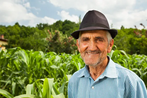 Starší zemědělce s kukuřičné pole v pozadí — Stock fotografie