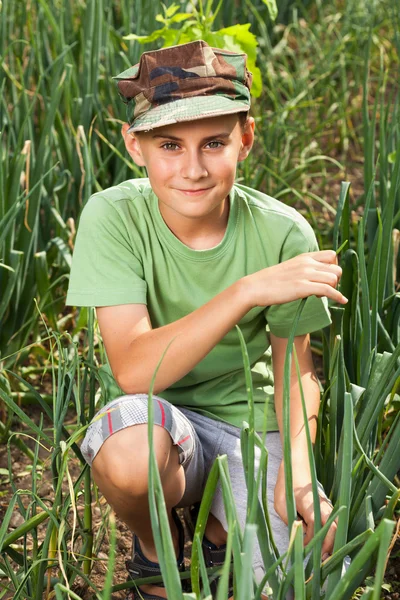 Boy in a lawn of onions — Stock Photo, Image