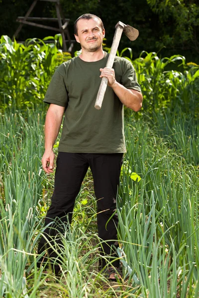 Jardineiro em um campo de cebola, capina — Fotografia de Stock