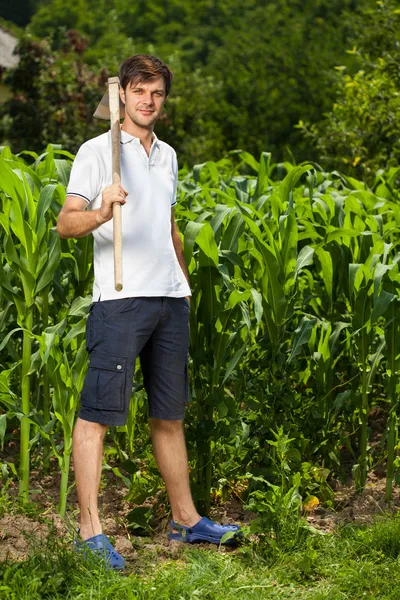 Jovem agricultor perto de um campo de milho — Fotografia de Stock