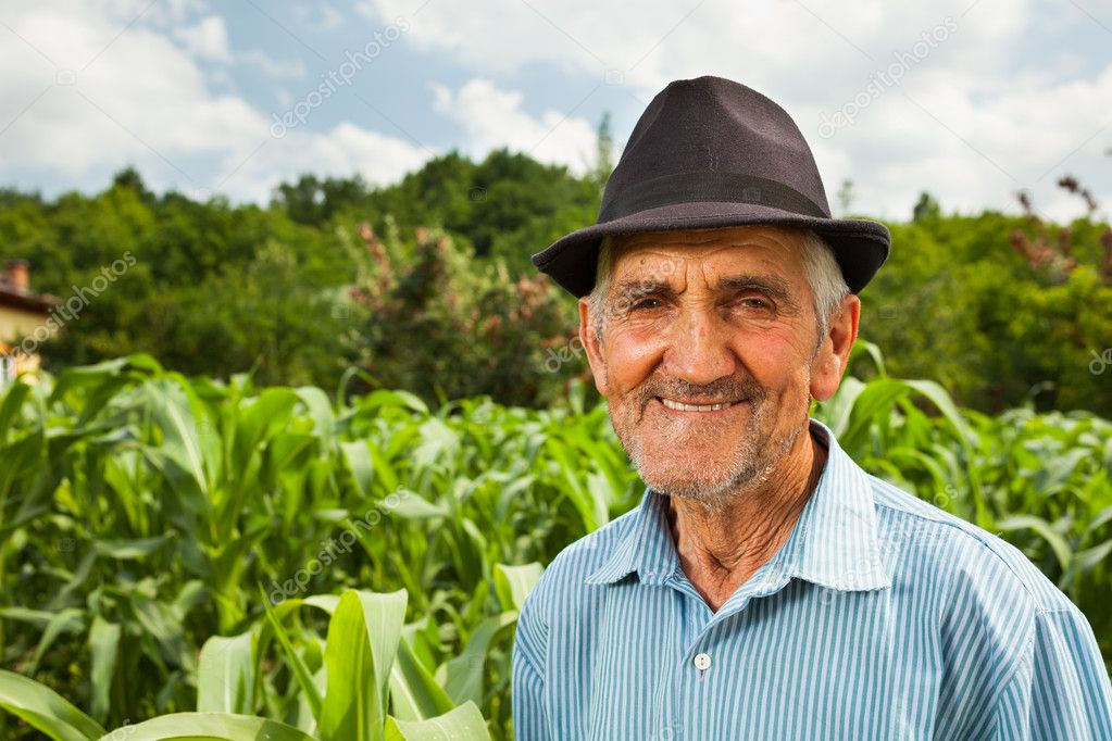 Senior farmer with a corn field in the background