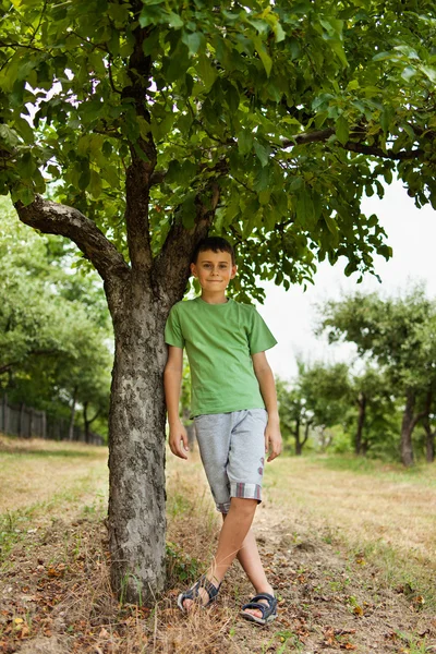 Ευτυχισμένο παιδί μέσα σε ένα δάσος των δέντρων μηλιάς — Φωτογραφία Αρχείου