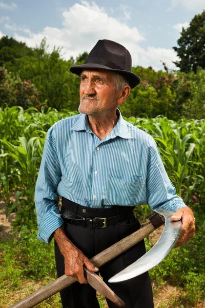 Starší zemědělce broušení kosy — Stock fotografie