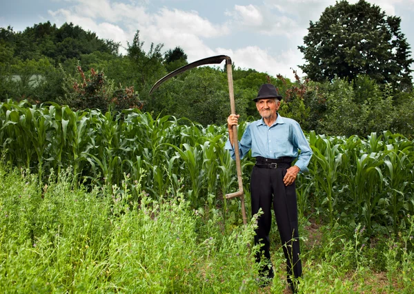Старший фермер с косой — стоковое фото