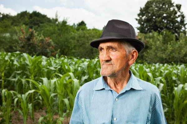 Senior bonde med ett majsfält i bakgrunden — Stockfoto