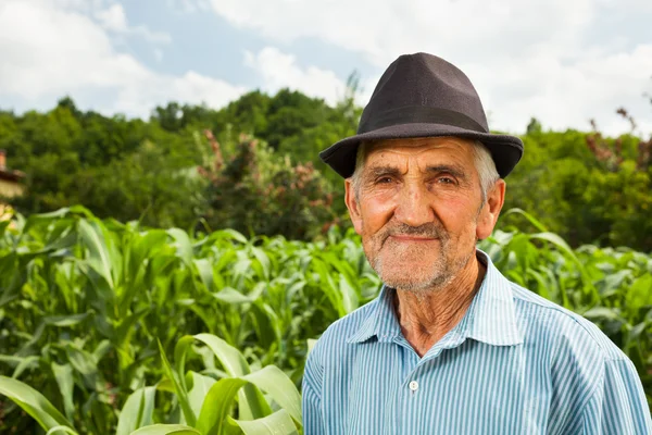 Fermier âgé avec un champ de maïs en arrière-plan Photo De Stock