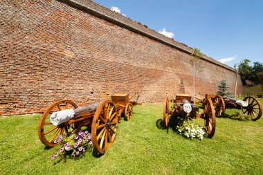 Canons near wall clipart