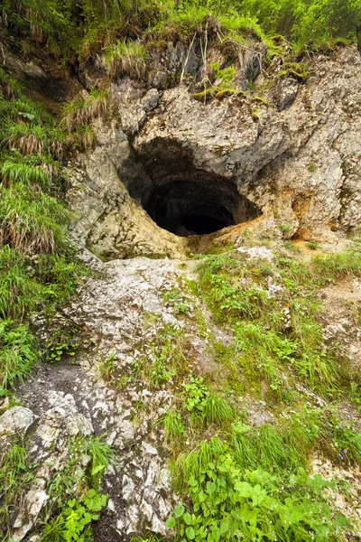 Entrada a la cueva — Foto de Stock