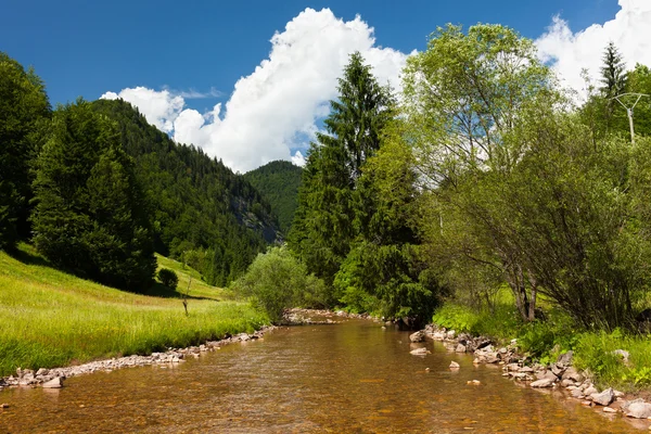 Bach, Wald und Berge — Stockfoto