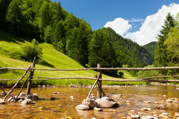 Stock image Creek, forest and mountains