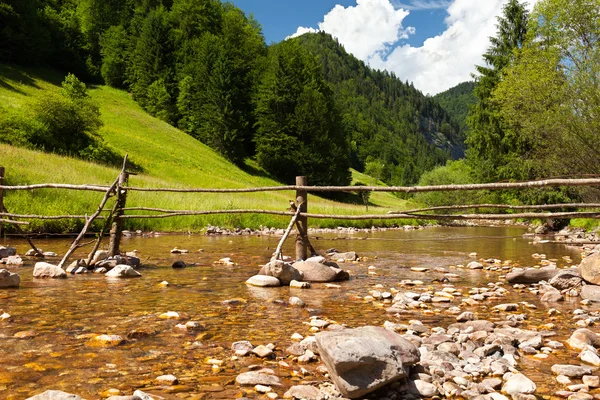 stock image Creek, forest and mountains