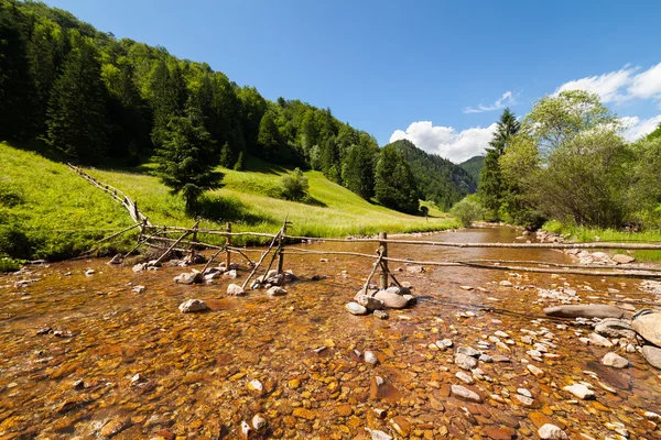 Stock image Creek, forest and mountains