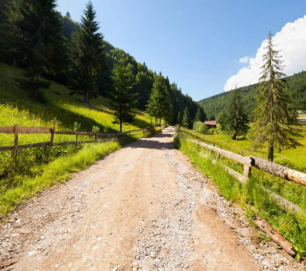 Road through forest in mountains — Stock Photo, Image