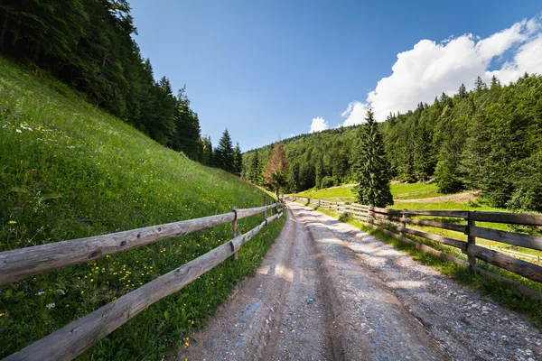 Straße durch Wald in den Bergen — Stockfoto