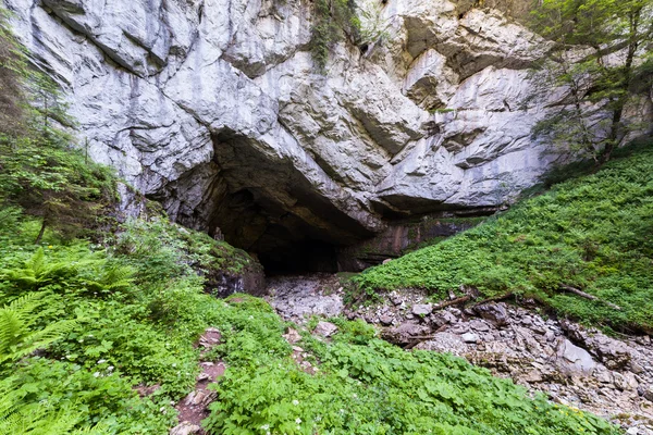 Coiba Mare caverna — Fotografia de Stock