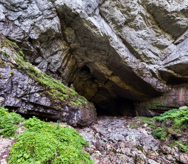 Coiba-Stutenhöhle — Stockfoto
