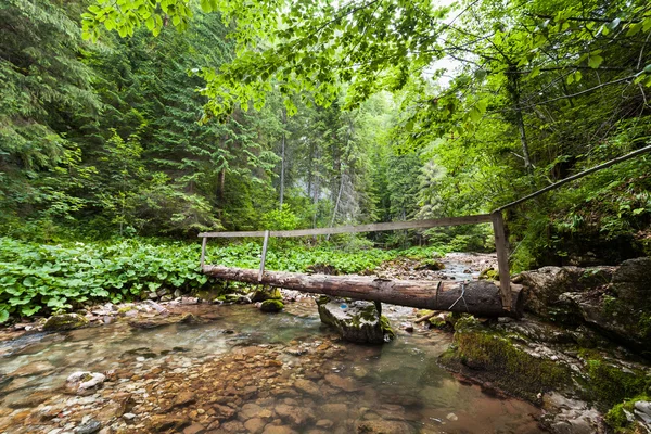 Ponte de madeira sobre um riacho — Fotografia de Stock