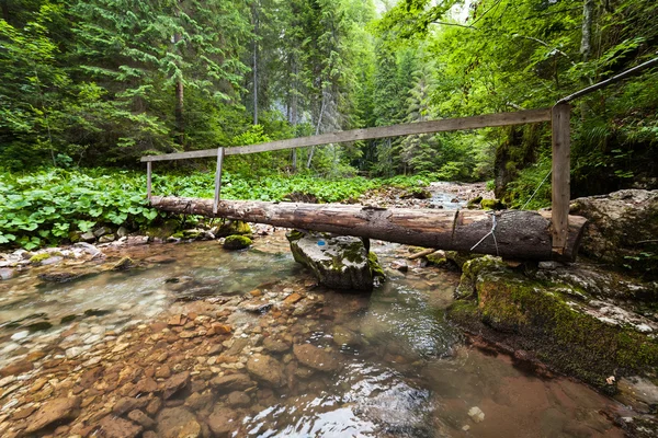 Dřevěný most přes potok — Stock fotografie