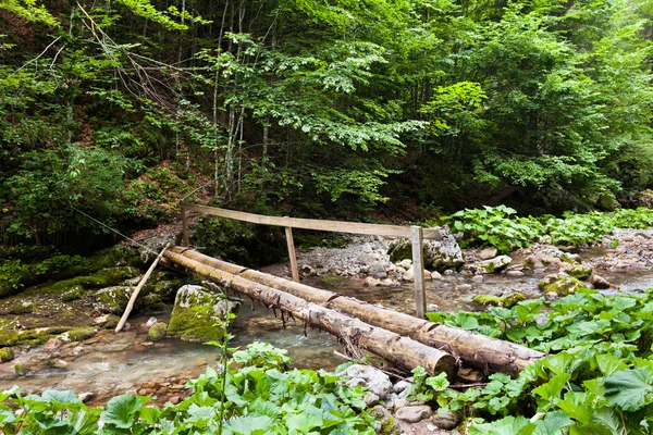 Holzbrücke über einen Bach — Stockfoto