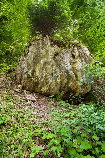 Enorme rotsblokken in bos — Stockfoto