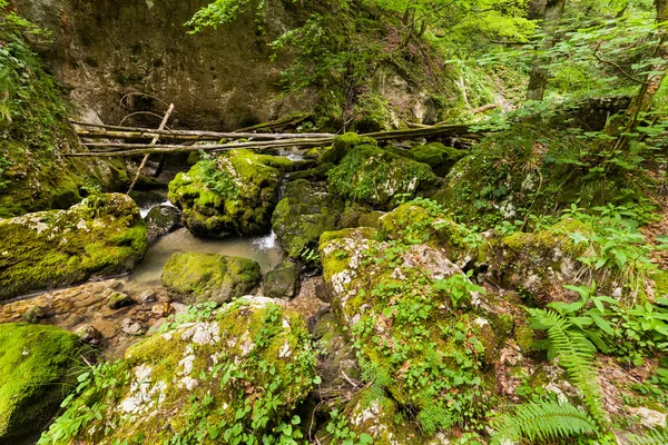 Canyon med mossiga stenblock — Stockfoto