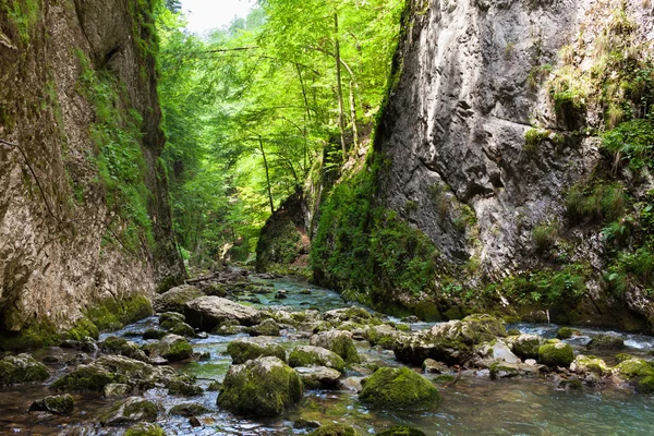 Rzeka w górach — Zdjęcie stockowe