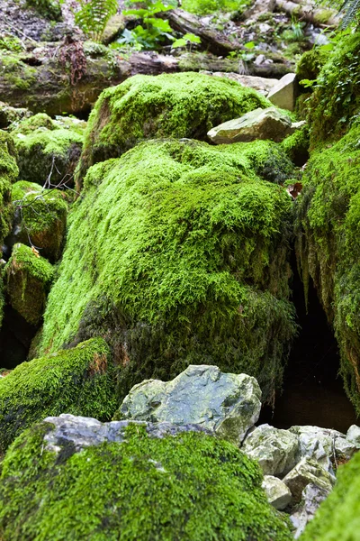 Enormes rocas musgosas — Foto de Stock