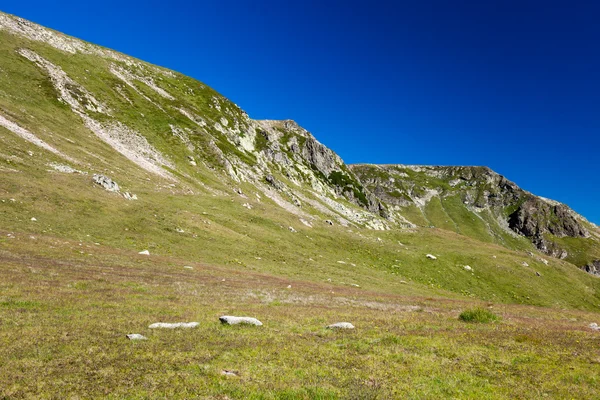 Iezer peak, Roménia — Fotografia de Stock