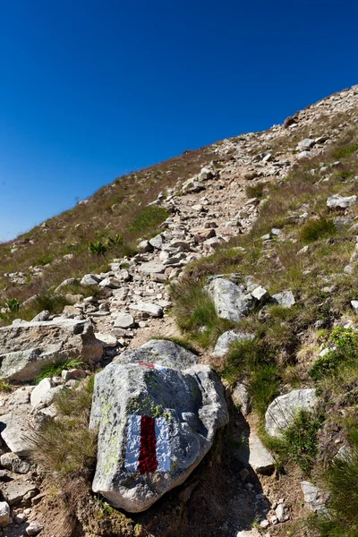 ルートの兆候とハイキング ・ トレイル — ストック写真