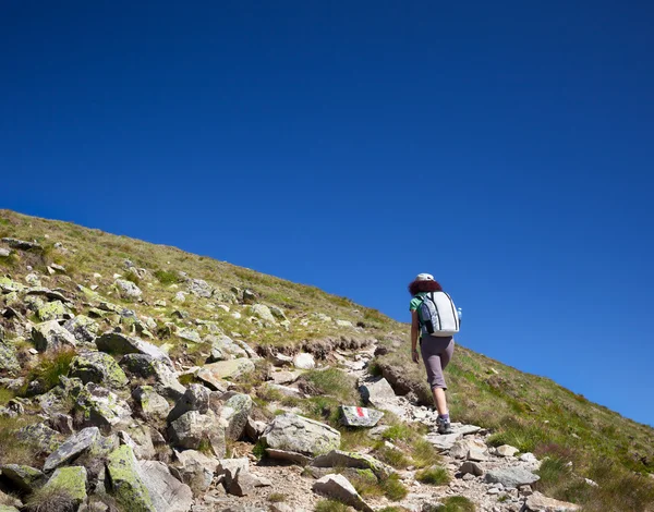 Kobieta, piesze wycieczki, na szlak górski — Zdjęcie stockowe