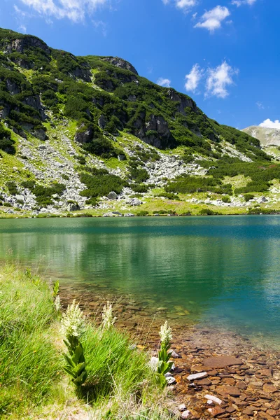 Sjön calcescu i Rumänien — Stockfoto