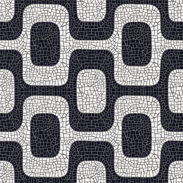 Abstract black and white pavement pattern