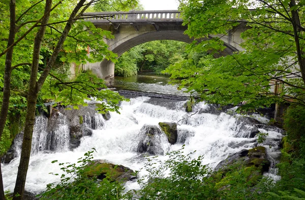 stock image Bridge over waterfalls