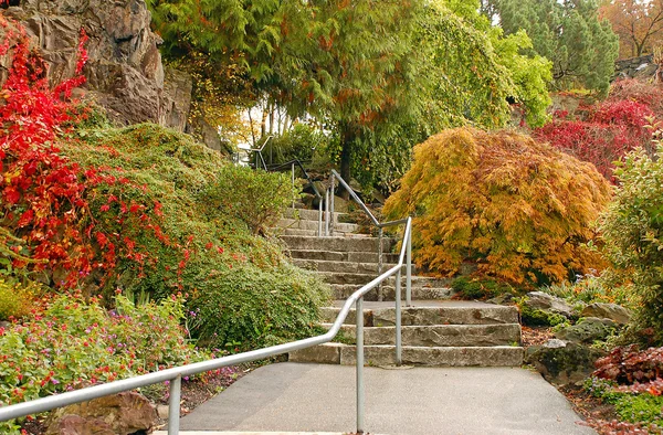 Escadas jardim — Fotografia de Stock