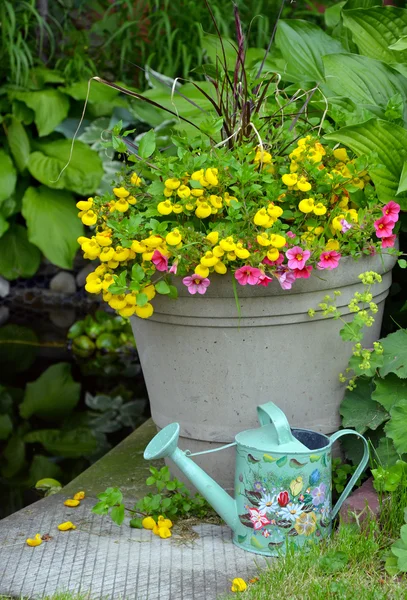 Colorful spring flower planter — Stock Photo, Image