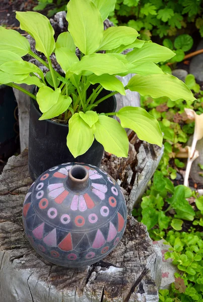 Растительная и декоративная ваза — стоковое фото