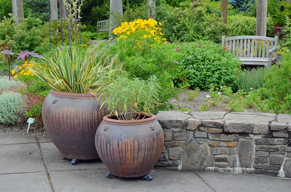 庭の鉢 — ストック写真