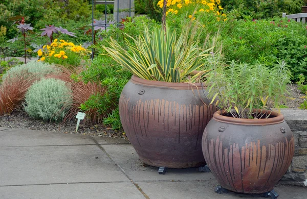 Twee tuin potten — Stockfoto