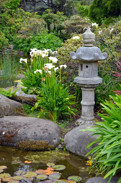 Asian garden — Stock Photo, Image
