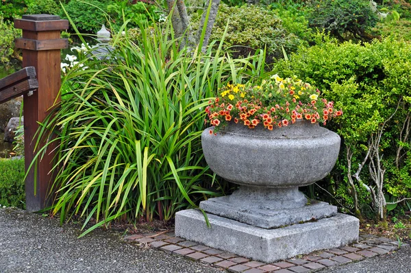 Plantador de flores de pedra — Fotografia de Stock