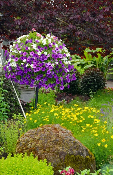 Szép tavaszi kert — Stock Fotó
