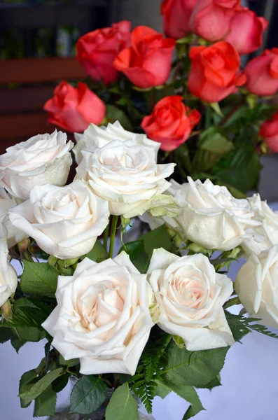 Rose rosse e bianche — Foto Stock