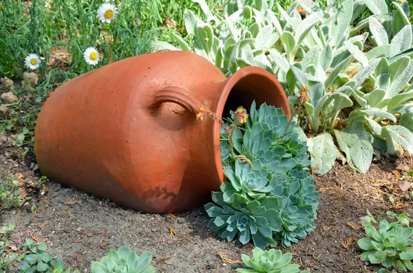 庭で粘土プランター — ストック写真