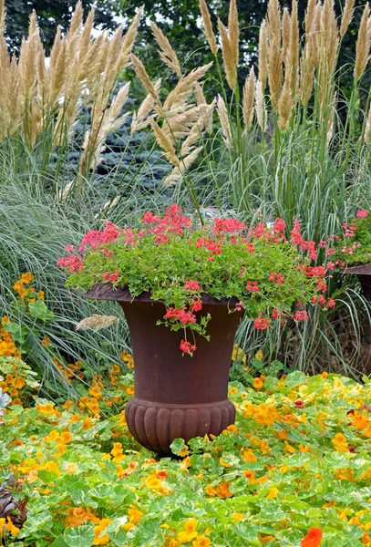 Красочный садовый плантатор — стоковое фото